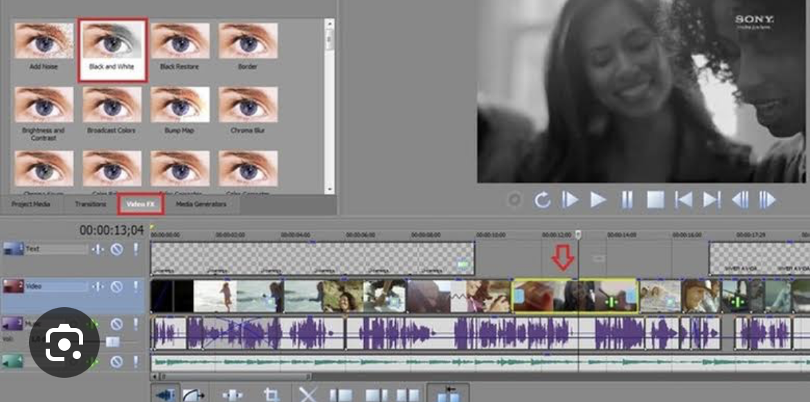 Editor de vídeo profissional Sony Vegas pro